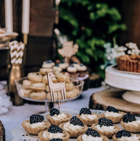 Zestaw leśne zwierzątka